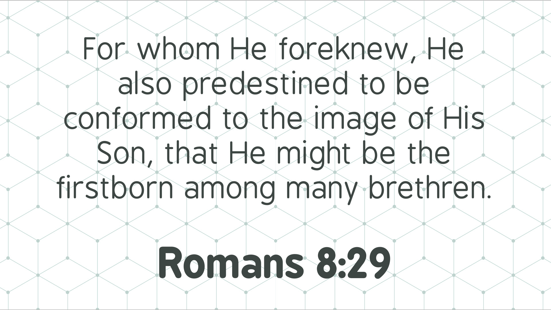 Seeking Jesus First Sep. 29, 2025
