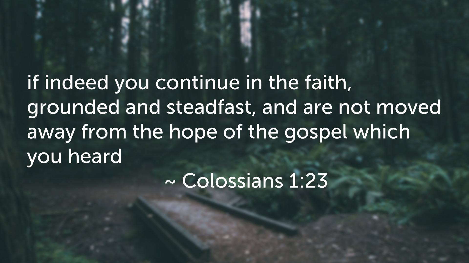 Seeking Jesus First Dec. 10, 2025