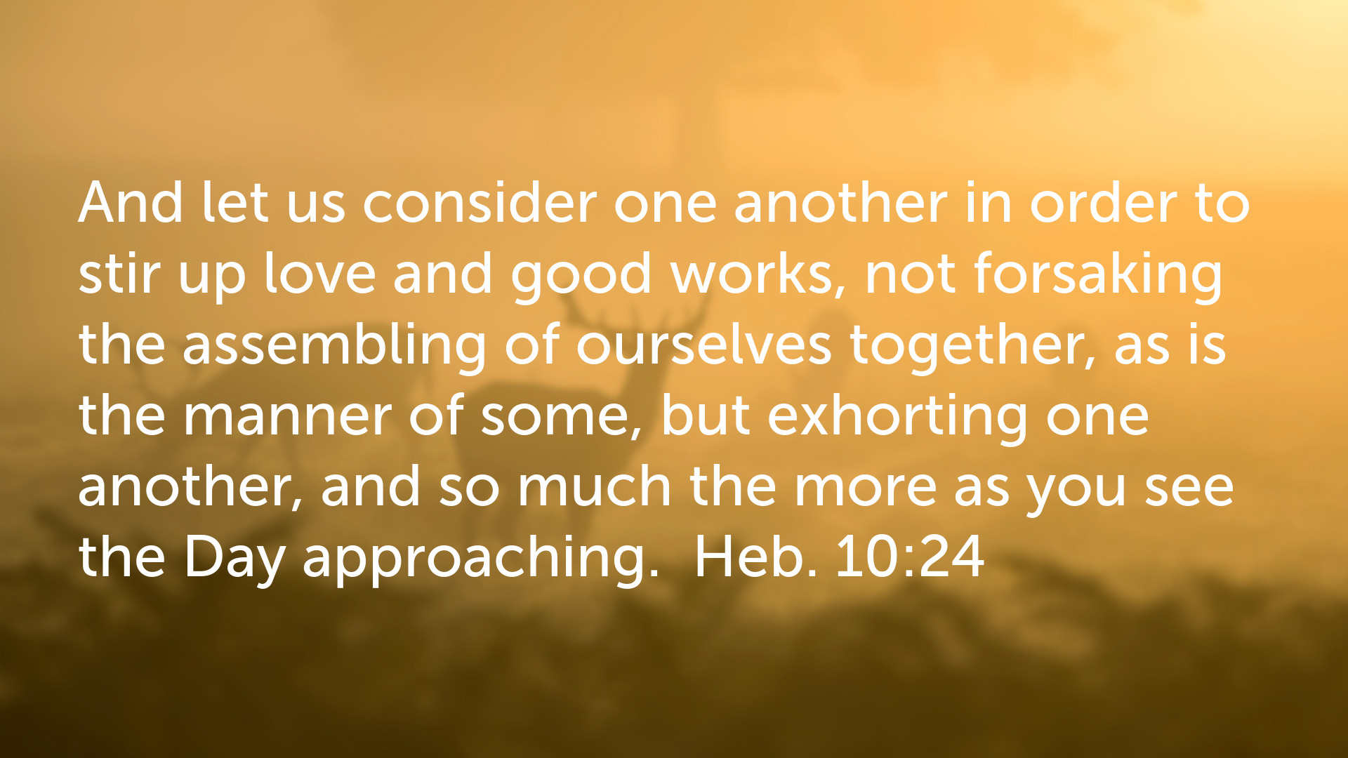 Seeking Jesus First Dec. 16, 2025