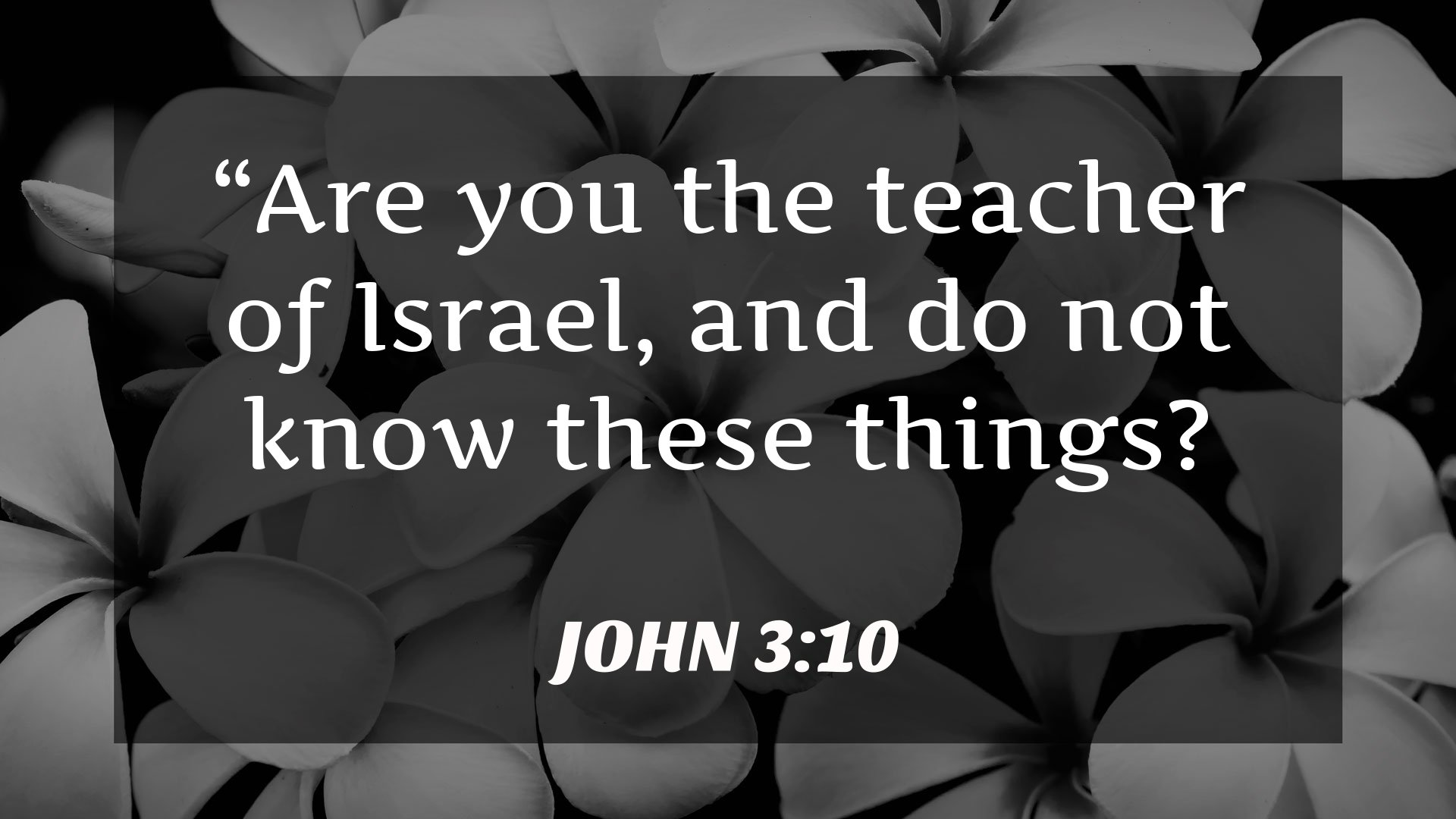 Seeking Jesus First Jan. 23, 2026