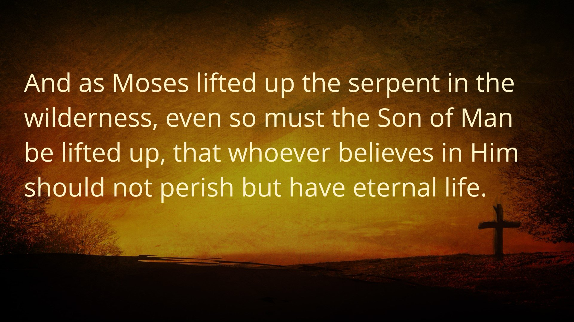 Seeking Jesus First Jan. 26, 2026