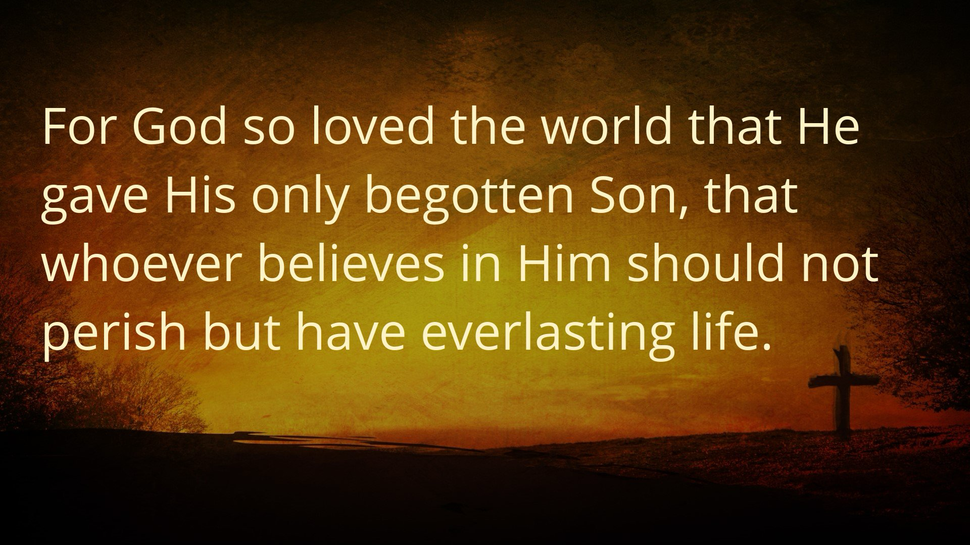 Seeking Jesus First Jan. 27, 2026