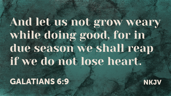 Seeking Jesus First May 8, 2025