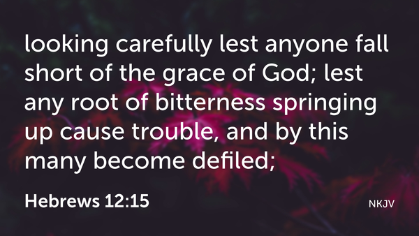 Seeking Jesus First May 6, 2025