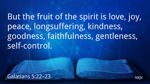 Seeking Jesus First June 19, 2025