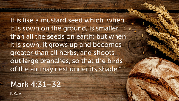 Seeking Jesus First July 1, 2025