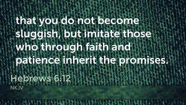 Seeking Jesus First Aug. 28, 2025