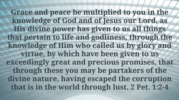 Seeking Jesus First Sep. 10, 2025