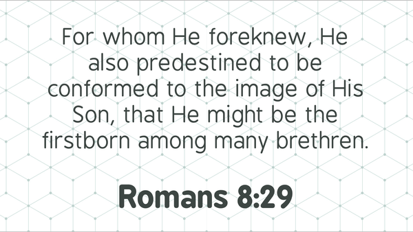 Seeking Jesus First Sep. 29, 2025