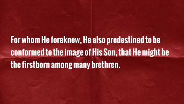 Seeking Jesus First Dec. 3, 2025